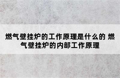 燃气壁挂炉的工作原理是什么的 燃气壁挂炉的内部工作原理